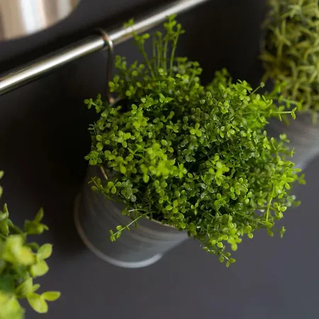 Folk Chalet Zakopane