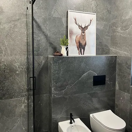 Folk Chalet Zakopane