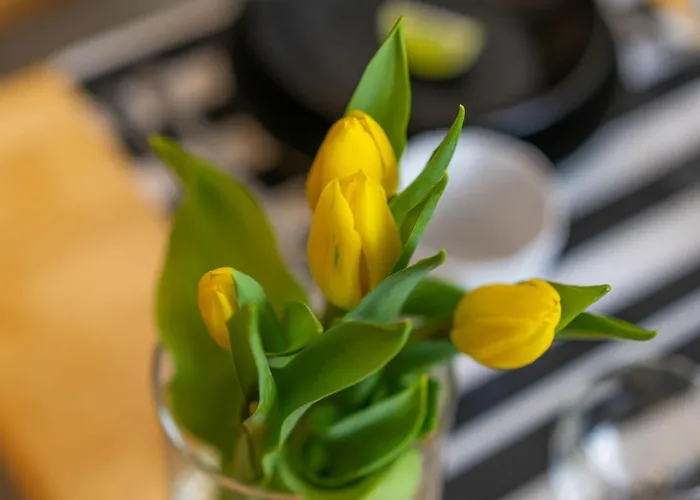 Folk Domek alpejski *