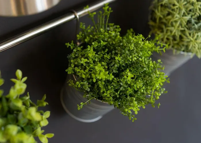 Folk Chalet Zakopane